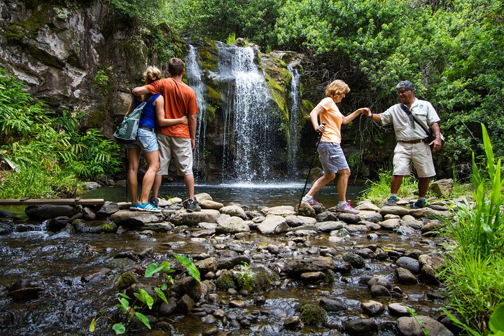 Private Ohana Kohala Waterfalls Adventure  - Photo 1 of 5